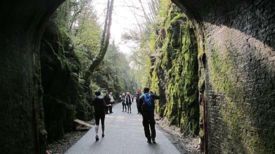 Mounvaud Lodge Stradbally  Bagian luar foto